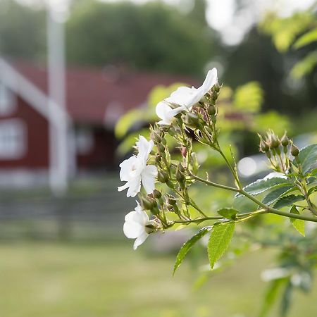 Modal Stugor Hultsfred Buitenkant foto